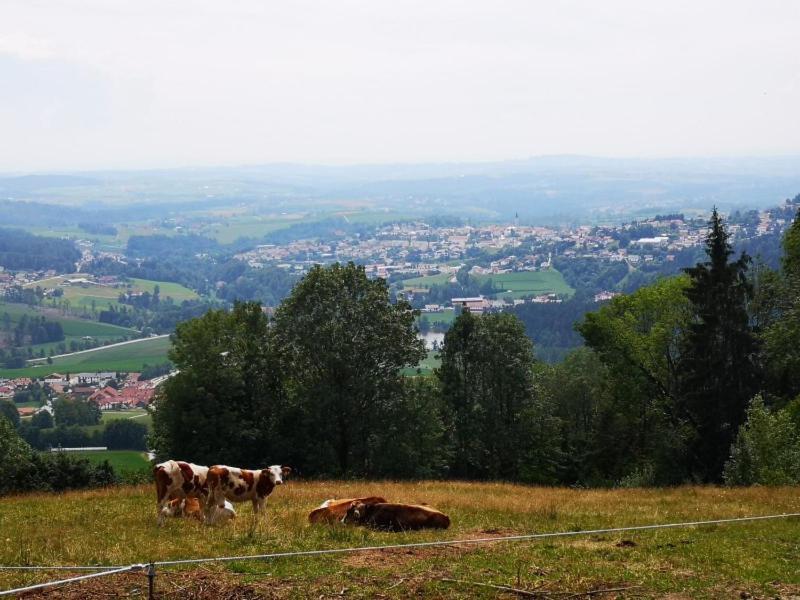 Ferienwohnung Waldblick เฮาเซนแบร์ก ภายนอก รูปภาพ