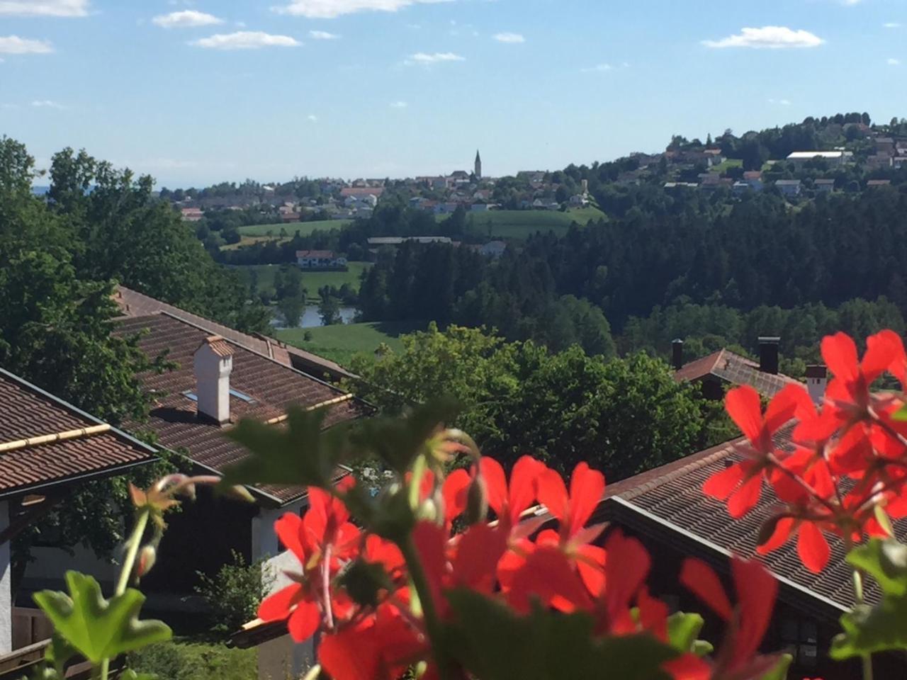 Ferienwohnung Waldblick เฮาเซนแบร์ก ภายนอก รูปภาพ
