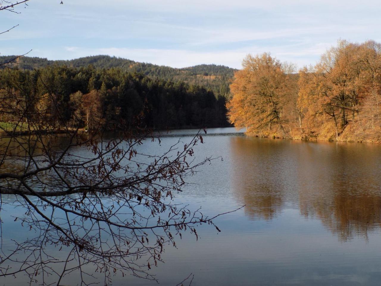 Ferienwohnung Waldblick เฮาเซนแบร์ก ภายนอก รูปภาพ
