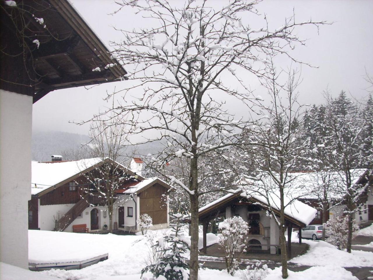 Ferienwohnung Waldblick เฮาเซนแบร์ก ภายนอก รูปภาพ
